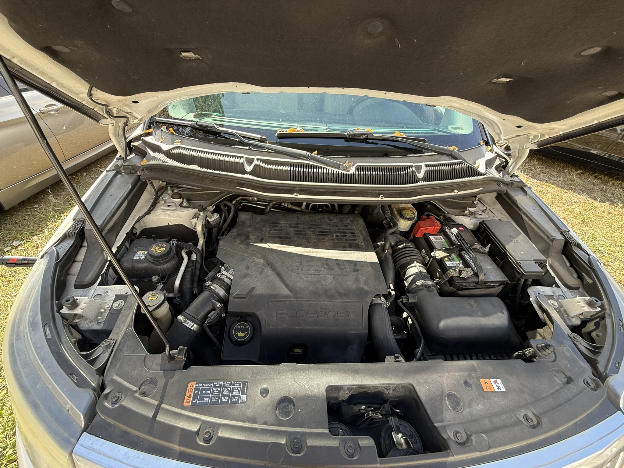 Open hood engine inspection